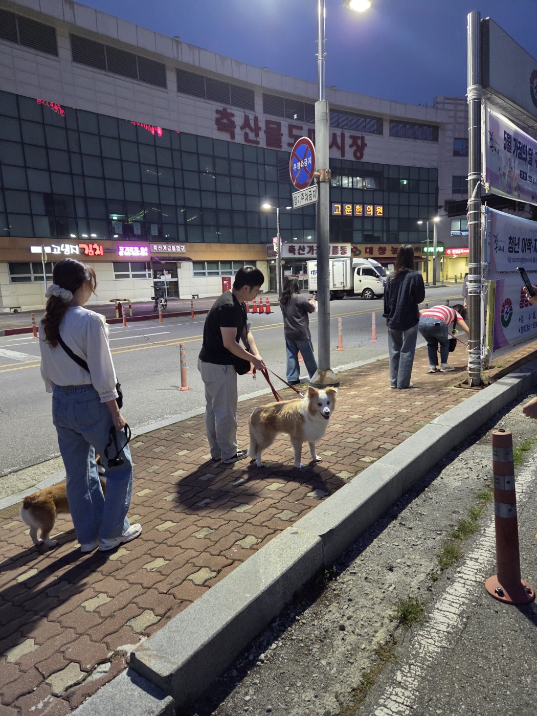 구리시 반려돌봄센터, 6월 반려동물 교육 프로그램 운영 이미지 3 - 본문에 자세한설명을 제공합니다.