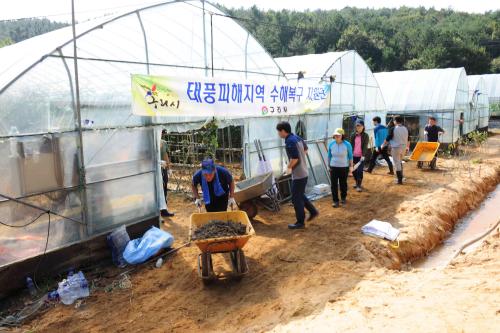 울산광역시 수해복구 지원활동 이미지