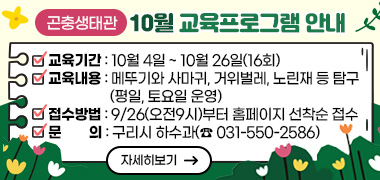 구리시 곤충생태관 10월 교육프로그램 운영
○ 교육기간 : 10월 4일 ~ 10월 26일(16회)
○ 교육내용 : 메뚜기와 사마귀, 거위벌레, 노린재 등 탐구(평일, 토요일 운영)
○ 접수방법 : 9/26(오전9시)부터 홈페이지 선착순 접수
○ 문의처 : 구리시 하수과(☎ 031-550-2586)
자세히보기